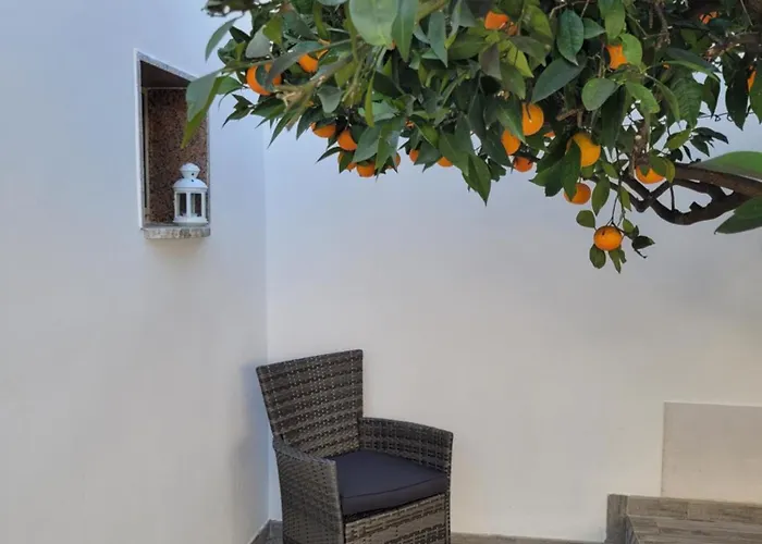 Casa Degli Aranci, Smart Work Wifi Garden Terrace